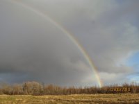 Rainbow right side