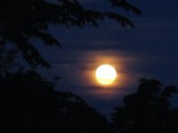 Full moon risin'