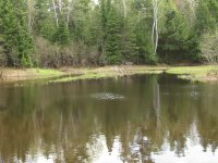 Early summer at the Little Dam, Miramichi