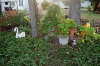 Front garden