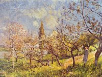 sisley 8