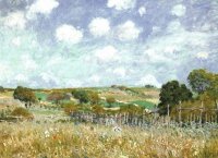 sisley 16