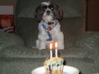 Happy birthday to ME!
