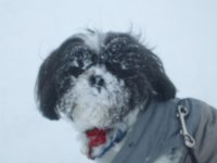 I love the snow mommy!