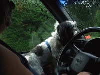Daddy's co-pilot