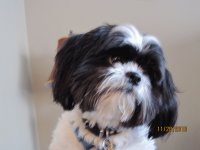 I wuv you daddy!