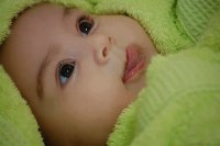 Lemon-Baby