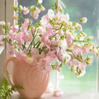Blumen und Pflanzen