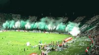 LA PASION VERDE