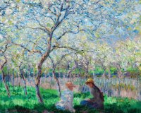 monet 36