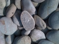 pebbles