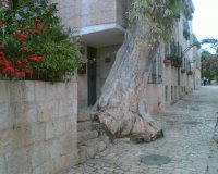 yemin moshe8