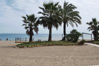 PALMERAS