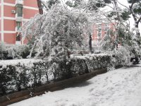 neve a roma