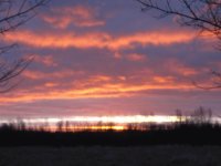Colourful backyard sunrise