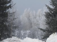 Winter in Weldfield NB