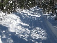 Feb 2013 - Lots of snow in woods this winter