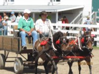 Showing ponies at the Napan Fair