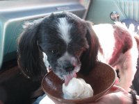Mmmm! Ice cream's good too Dad!