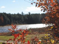 The Northwest Miramichi River