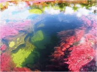 colored river2