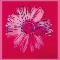 Daisy (Crimson and Pink)
