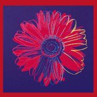 Daisy (Blue and Red).