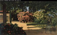bazille 11