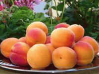 peaches