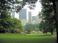 Central Park, New York