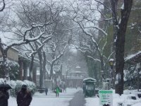 Central Park, New York