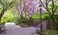 Central Park, New York