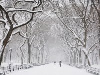 Central Park, New York