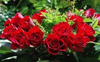 RAMO DE ROSAS