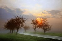 AMANECER CON NEBLINA