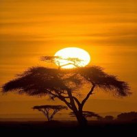 AFRICA