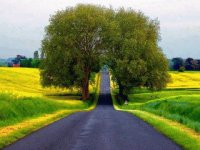 CAMINO