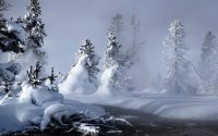 NEVADA