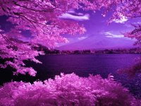 HERMOSO PAISAJE