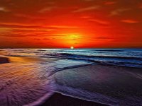 MAR