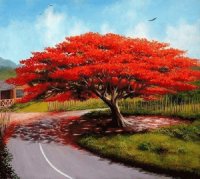 ARBOL