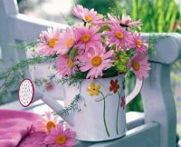 FLORES