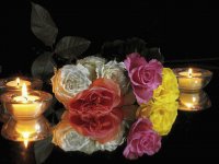ROSAS