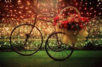 BICICLETA CON ROSAS