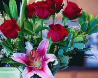 ROSAS