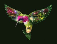 COLIBRI