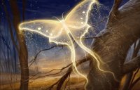 MARIPOSA