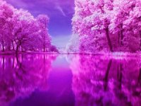 LAGO
