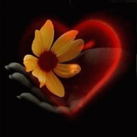 FLOR