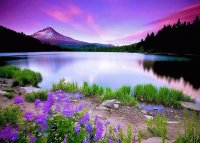 LAGO